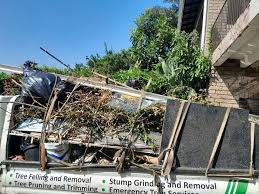 Best Dumpster Rental Services  in Gastonville, PA